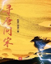 寻唐问宋