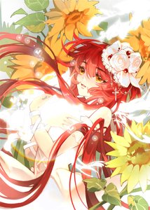 (咒回同人)无术式,但第四天灾