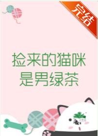 捡来的猫咪是男绿茶
