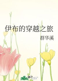伊布的穿越之旅